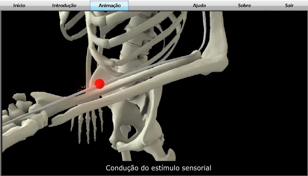 ArcoReflexo