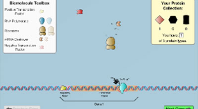 Gene Expression Basics